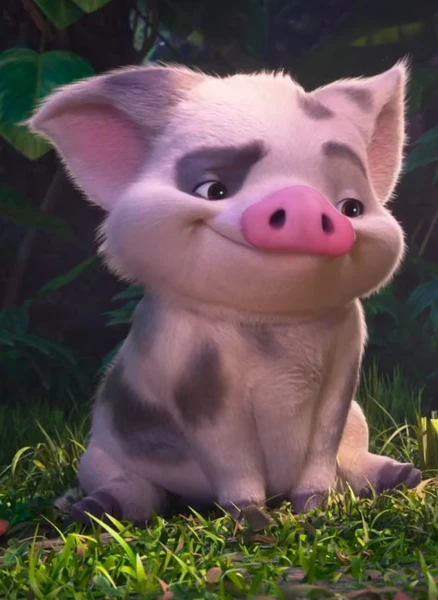 Pua — Vaiana : La Légende du bout du monde
