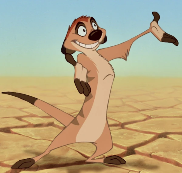 Timon — Le Roi Lion